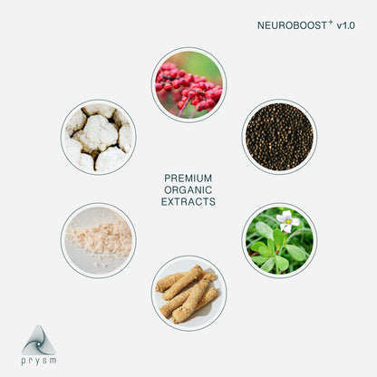 NEUROBOOST+ v1.0 | Welcome